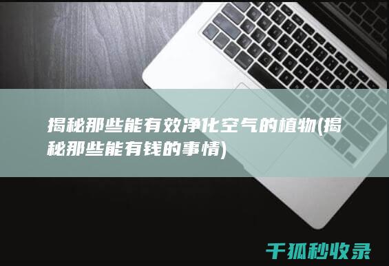 揭秘那些能有效净化空气的植物 (揭秘那些能有钱的事情)