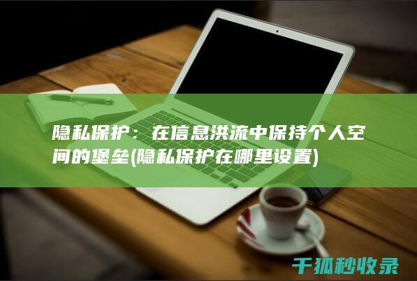 隐私保护：在信息洪流中保持个人空间的堡垒 (隐私保护在哪里设置)