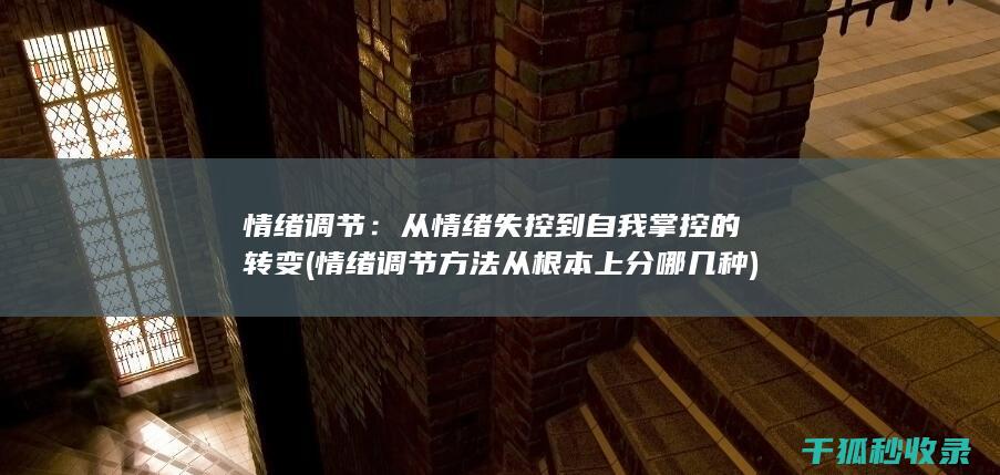情绪调节：从情绪失控到自我掌控的转变 (情绪调节方法从根本上分哪几种)