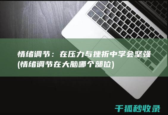 情绪调节：在压力与挫折中学会坚强 (情绪调节在大脑哪个部位)