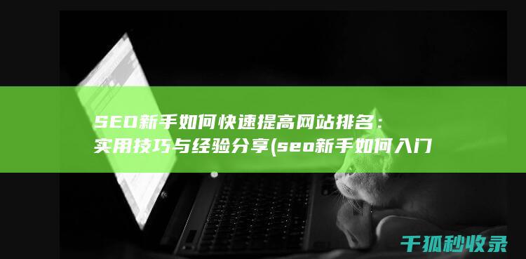 SEO新手如何快速提高网站排名：实用技巧与经验分享 (seo新手如何入门)