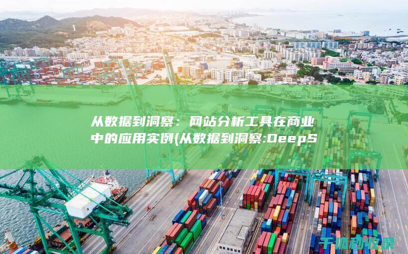 从数据到洞察：网站分析工具在商业中的应用实例 (从数据到洞察:DeepSeek的智能决策之道的心得体会)