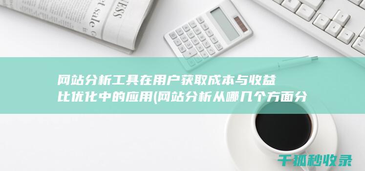网站分析工具在用户获取成本与收益比优化中的应用 (网站分析从哪几个方面分析)