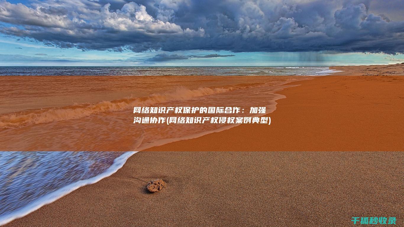 网络知识产权保护的国际合作：加强沟通协作 (网络知识产权侵权案例典型)