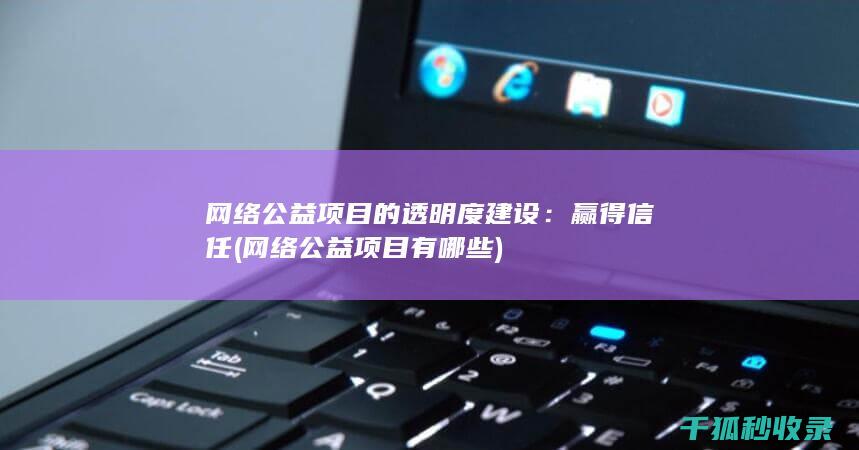 网络公益项目的透明度建设：赢得信任 (网络公益项目有哪些)