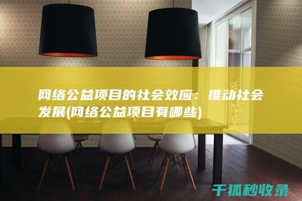 网络公益项目的社会效应：推动社会发展 (网络公益项目有哪些)