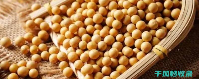 延长食材寿命！掌握这些保鲜技巧 (延长食材寿命的措施)