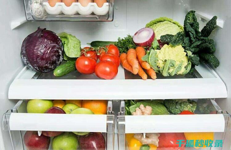 食材保鲜技巧全分享：延长食物新鲜期的秘密 (食材保鲜技巧视频)