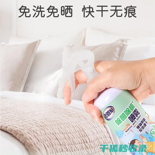 地毯除螨大作战：这些方法真的管用 (地毯 除螨)