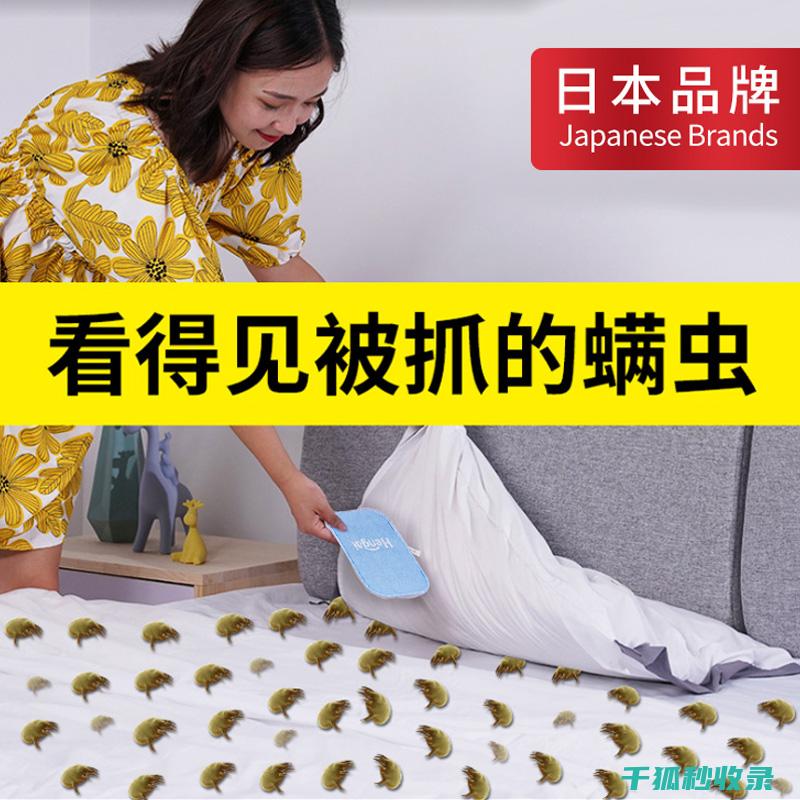 地毯除螨全知道：从原理到方法的完整介绍 (地毯除螨操作过程)