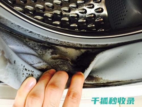 洗衣机水垢清除配方，延长使用寿命 (洗衣机水垢清洁剂)