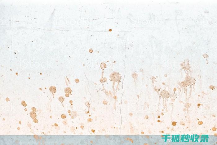 墙面污渍处理：面对不同类型的污渍如何应对 (墙面污渍处理小妙招)