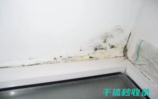 墙面污渍处理：使用肥皂水清洁墙面的常见问题 (墙面污渍处理方法)