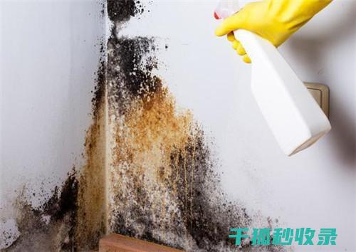 墙面污渍处理：使用自来水清洁墙面的简单方法 (墙面污渍处理小妙招)