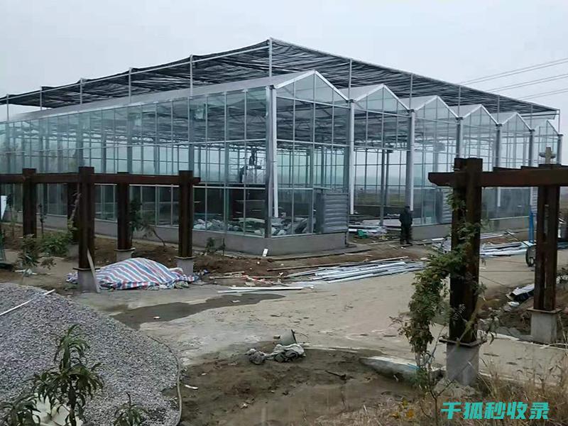 玻璃温室清洁技巧，蔬菜水果丰收在即 (玻璃温室清洁方法)