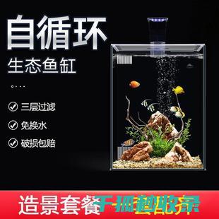 玻璃水族箱内壁清洗技巧，观赏鱼更健康 (玻璃水族箱的寿命是多长)