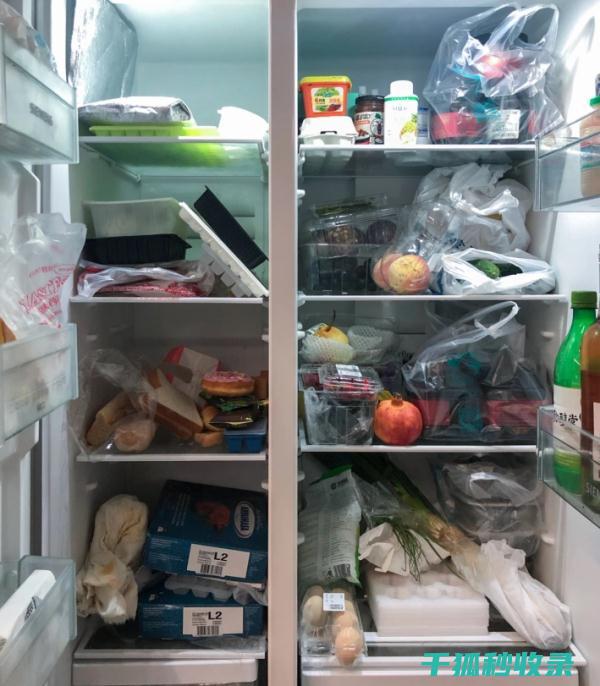 冰箱除味小窍门：90个让你的冰箱气味清新的秘密 (冰箱除味小窍门)