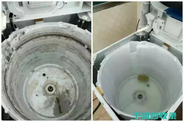 洗衣机内筒清洁与维护：保持洗衣机最佳状态的全攻略 (洗衣机内筒清洗妙招)
