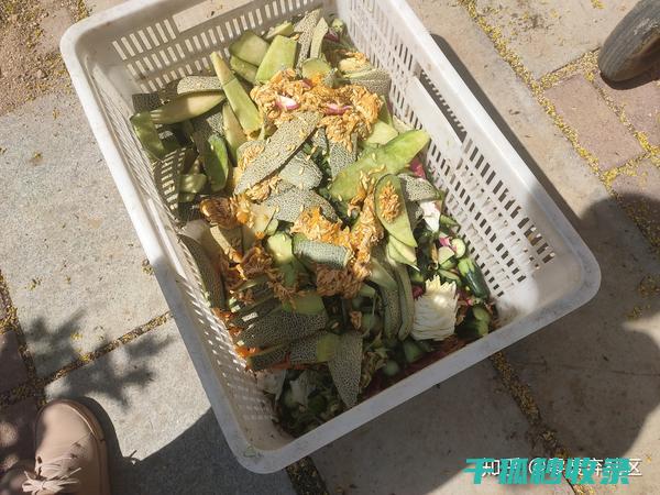 从分类到堆肥的完整过程