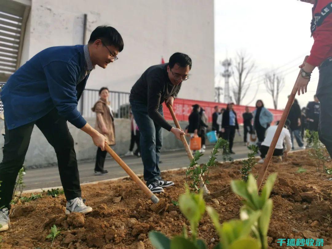 植树节：用绿色为地球增添活力 (植树节用绿色材料做树)