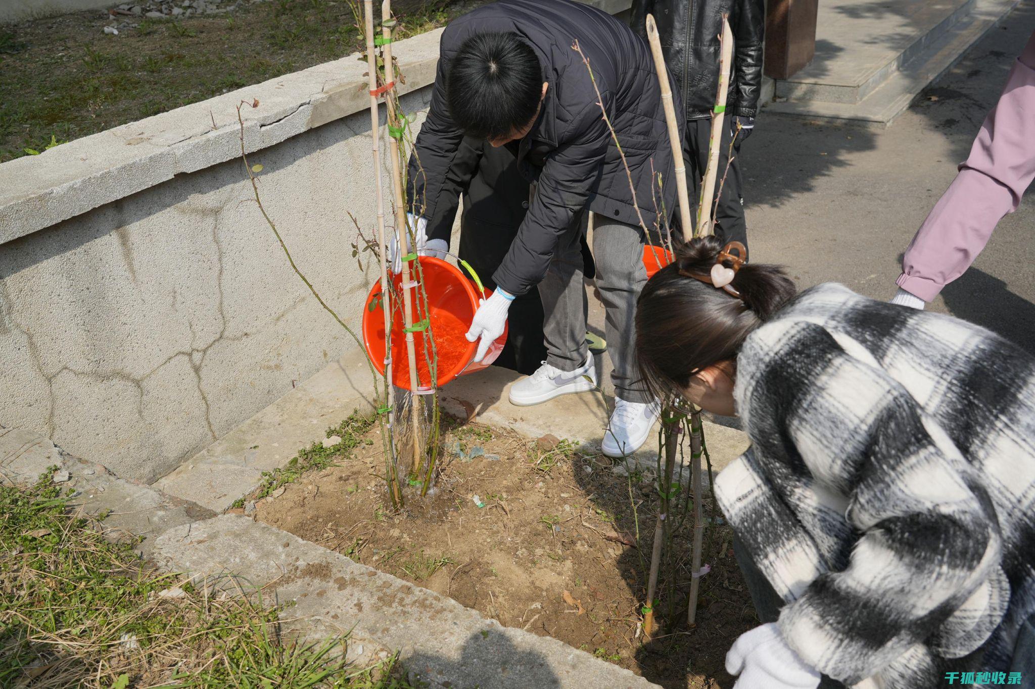 植树节：用绿色为地球增添希望 (植树节用绿色装扮教室 作文200字怎么写)