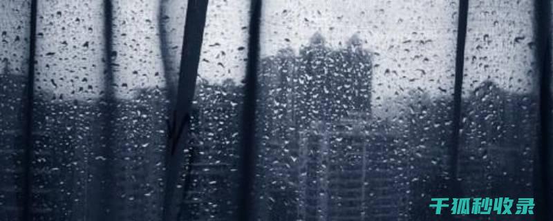 雨中驾车安全锦囊：从新手到老手的进阶之路 (雨中驾车安全教育内容)