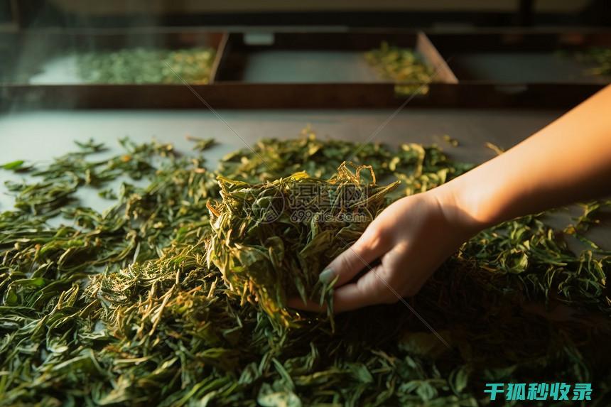 晒后的轮胎胎压下降了吗？教你快速检测步骤！ (轮胎暴晒)