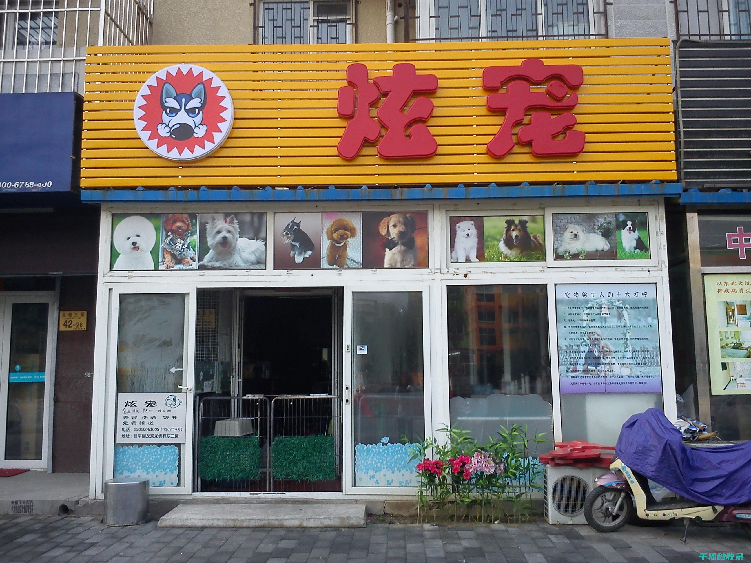宠物驱虫周期全知道：让驱虫变得简单高效 (宠物驱虫周期多久)