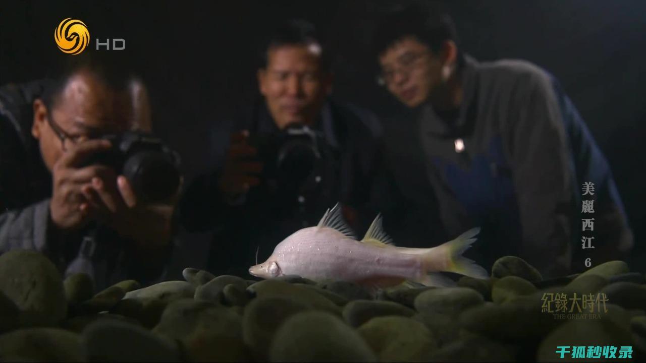 揭秘水族箱深度清洁步骤，让你的鱼儿更健康 (水族箱厚度一般是多少)
