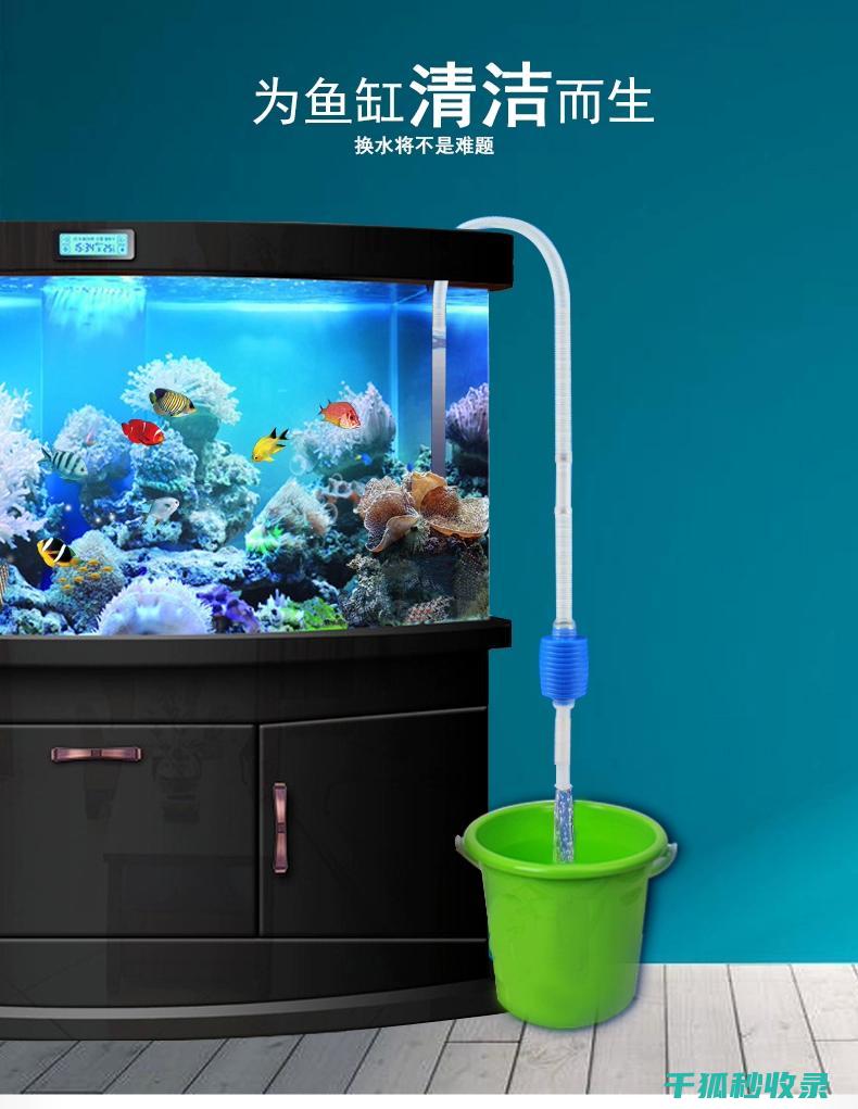 水族箱清洁注意事项：更换底砂的正确步骤 (水族箱清洁注意事项)