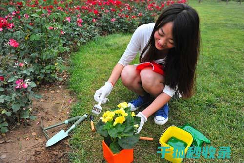 花卉施肥时机与不同肥料的溶解方式 (花卉施肥时机有哪些)