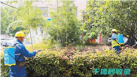 植物病虫害防治：不同作物的特殊需求与对策 (植物病虫害防治)