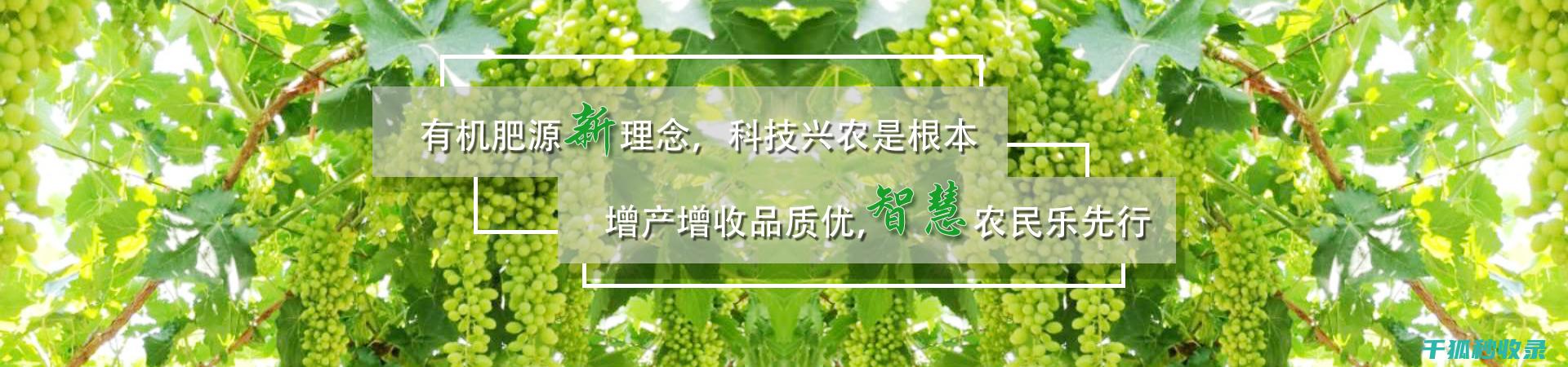 植物病虫害防治：如何通过清洁田园减少病虫害源 (植物病虫害防治考试题及答案)