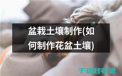 盆栽土壤配方：轻松掌握植物生长的黄金比例 (盆栽土壤配方比例)