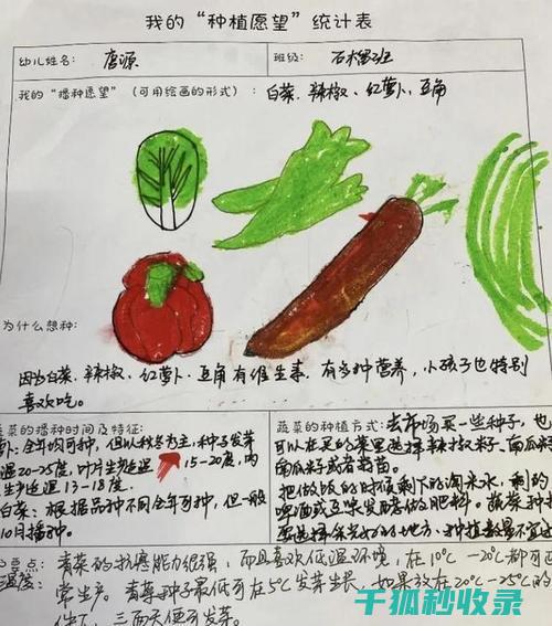盆栽土壤配比：适合不同水分需求植物的配方要点 (盆栽土壤配比标准)