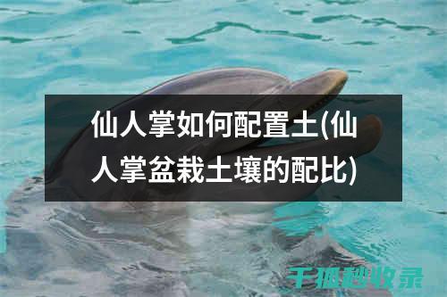 盆栽土壤配比：新手入门：如何为植物选择合适的土壤 (盆栽土壤配比标准)