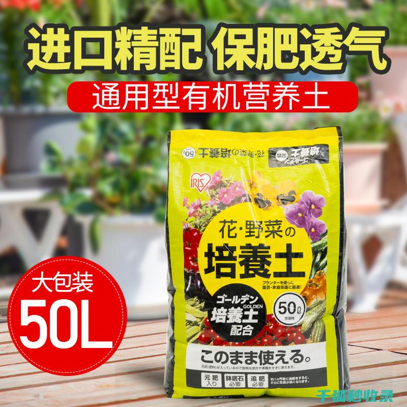 盆栽土壤配比：新手入门：如何为 (盆栽土壤配比方法)