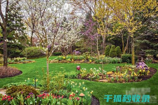 花园防蚊：这些技巧你都试过吗？ (花园 防蚊)