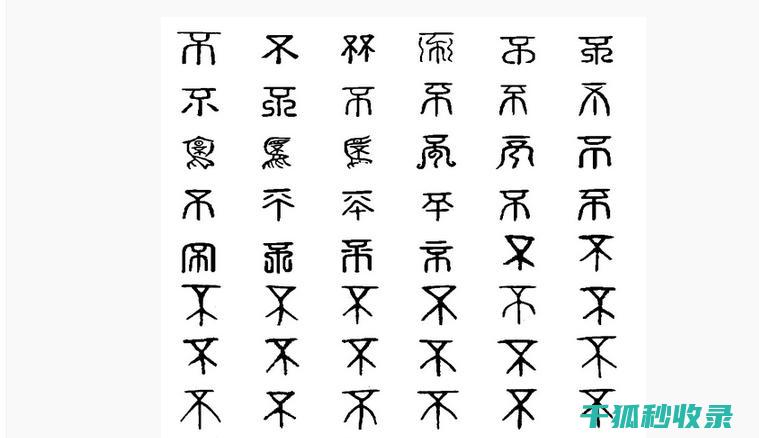 不想穿臭鞋？这些实用的鞋子除臭方法不容错过！ (穿了不脚臭的鞋子)