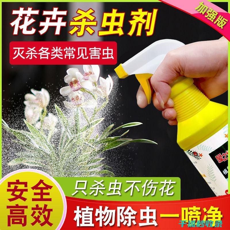 植物驱虫：让大自然成为您的家庭驱虫助手 (植物 驱虫)