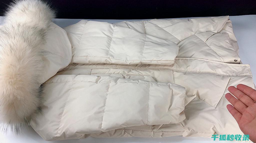 羽绒服脏了怎么办？专业清洗方法大揭秘 (羽绒服脏了怎么清洗)