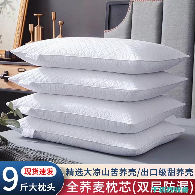 枕头除螨全纪录：从问题到解决的完整过程 (给枕头除螨)