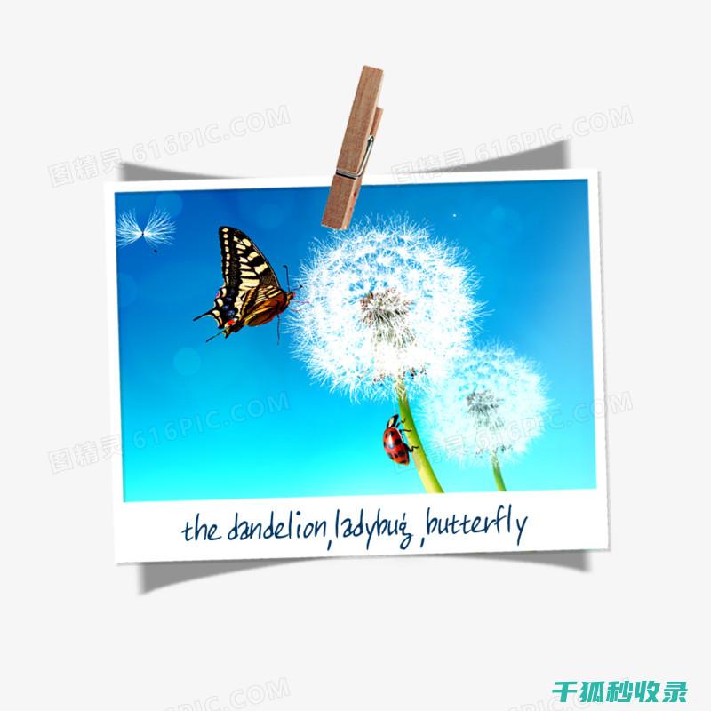 照片保存的全面指南：从基础到进阶的全链条指导 (照片保存的全称叫什么)