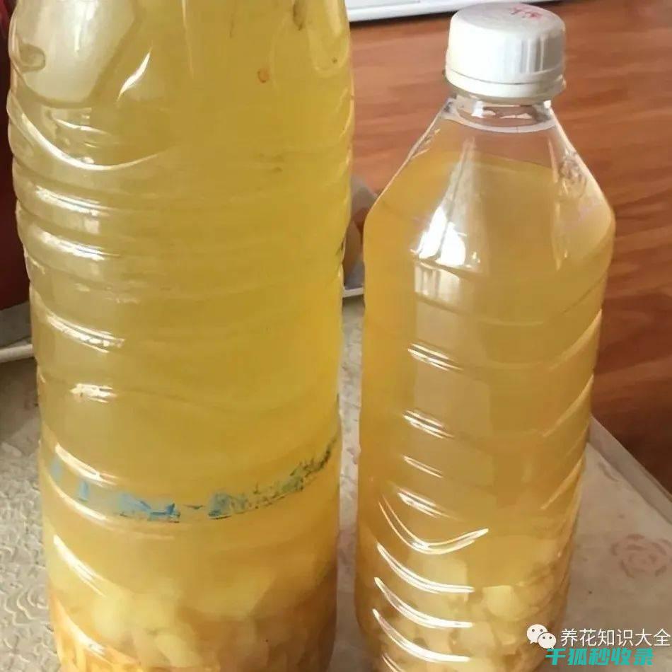 水果去皮新趋势分析