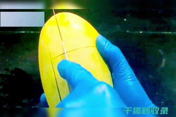 切芒果的正确方法：轻松获得完美的芒果块 (切芒果的正确方法视频)