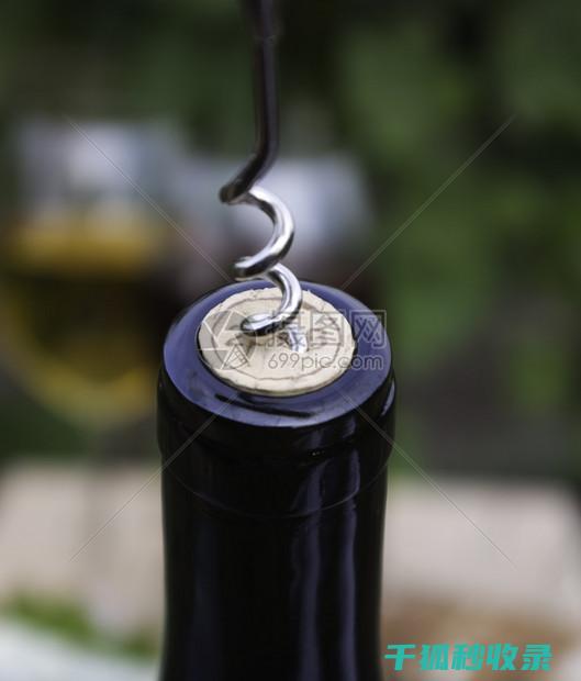 一瓶酒的开瓶艺术：从瓶塞到酒杯的完美过程 (一瓶酒的开瓶方法视频)
