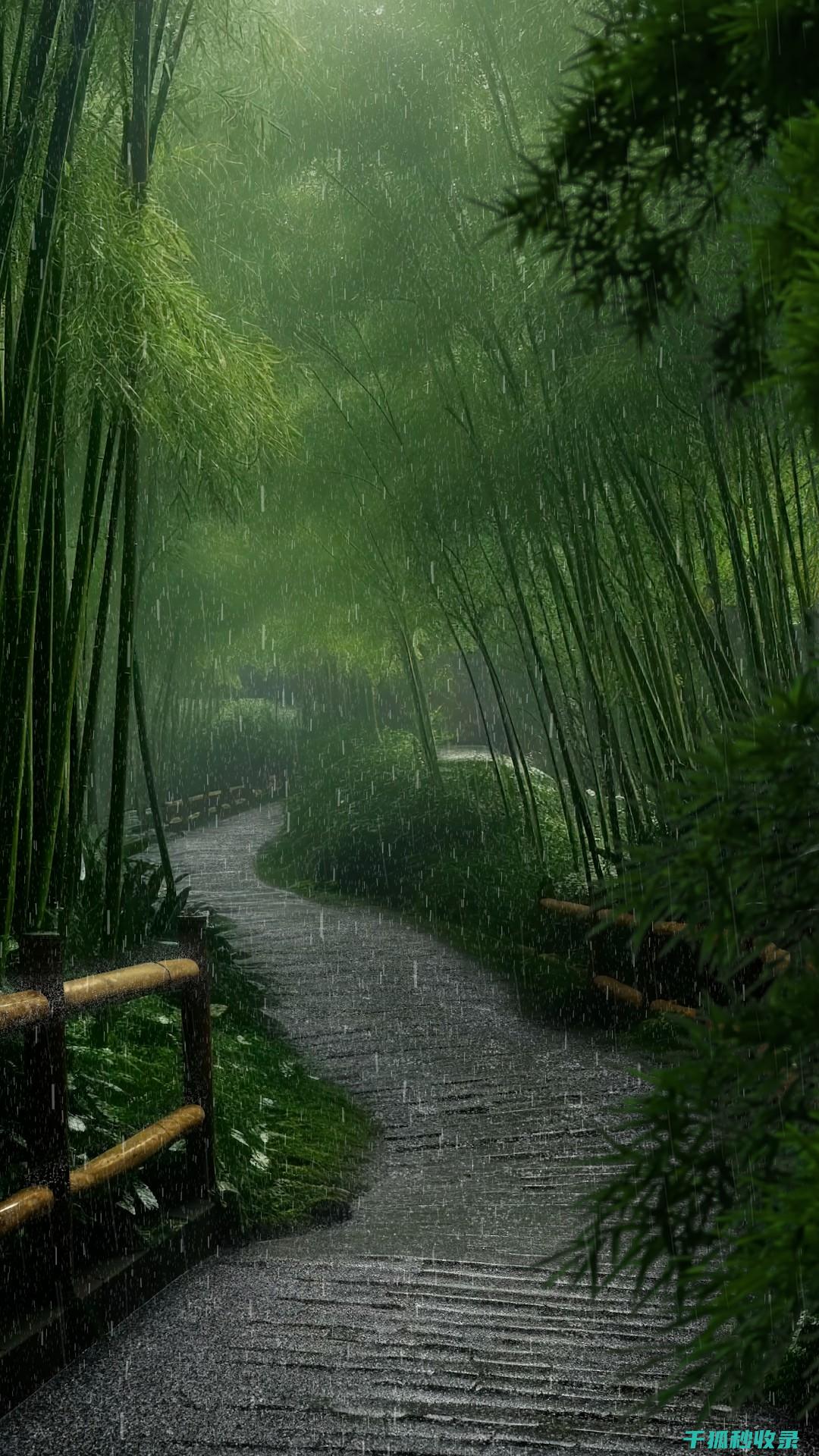 雨刮器清洁：从日常维护到深度护理的全攻略 (如何清洁雨刮片)