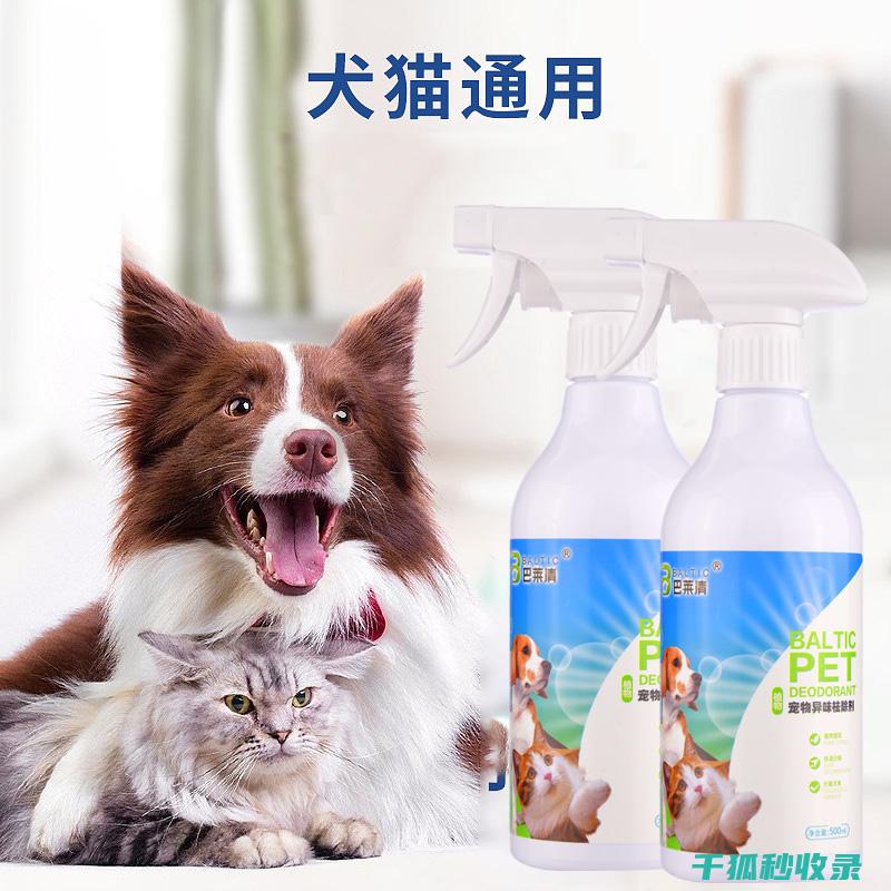 宠物异味去除：实用技巧与长效护理之道 (宠物异味去除公司)