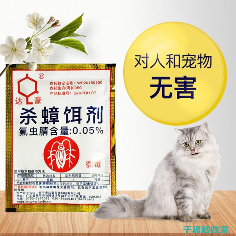 驱除蟑螂 | 使用蜡烛驱除蟑螂的实用方法 (驱走蟑螂)