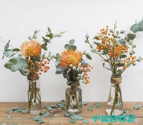 花瓶清洁与消毒：健康与美观兼得的方法 (花瓶清洁与消毒的区别)